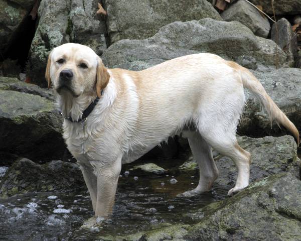 riley9.jpg