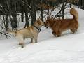 riley1